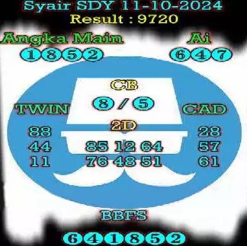 SYAIR SDY VIP